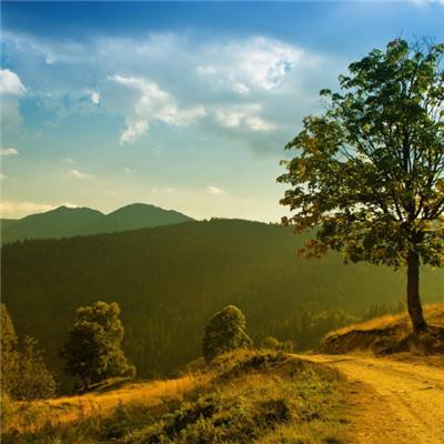 米乐·M6手机app下载